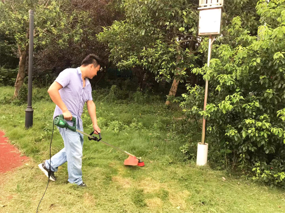 华东师范大学张江实验中学操场草坪维护