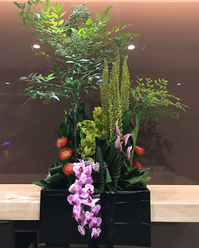 台花19