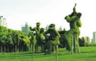 上海市园林绿化工程建设程序管理暂行办法