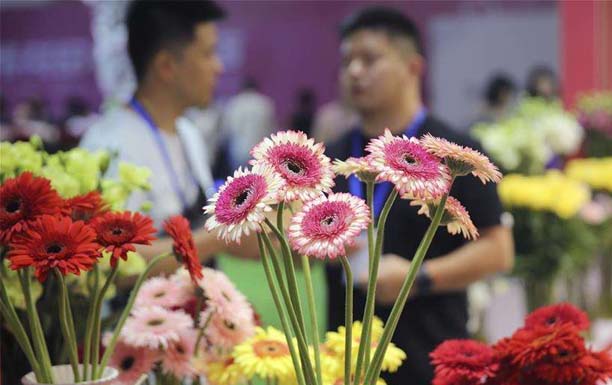 第20届中国昆明国际花卉展将于7月在滇池国际会展举行