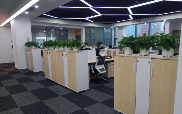 上海办公室绿化怎样才能更简单方便
