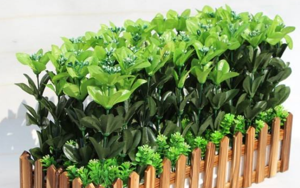 上海绿植租赁公司为您介绍室内绿植维护的一些技术和特点