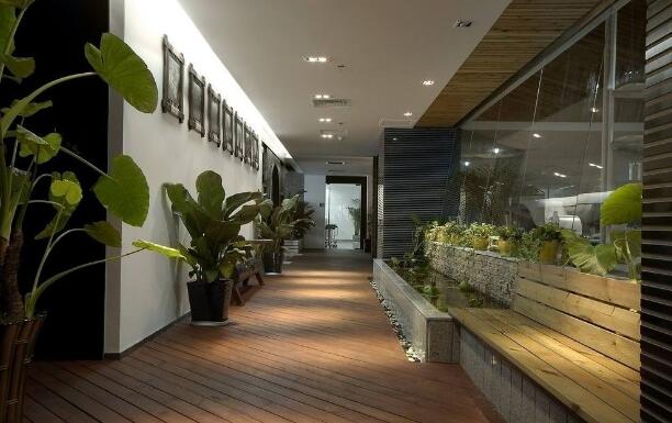 徽丰绿化办公室租花公司将向您推荐一些不死办公室绿化