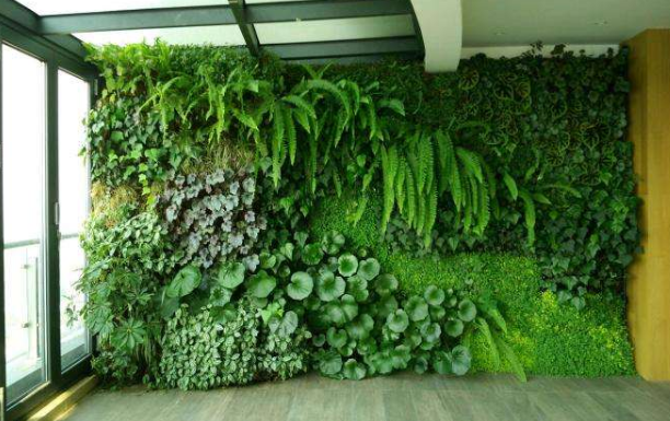 绿植租赁公司简述绿化墙与普通绿化之前的三个不同点