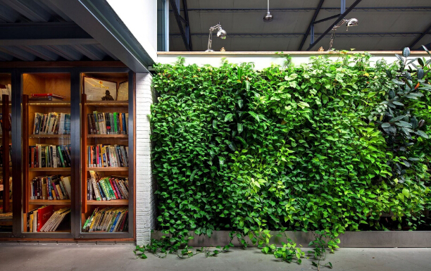 上海绿植租赁养护公司为您介绍设计绿植墙需要遵循的五个原则